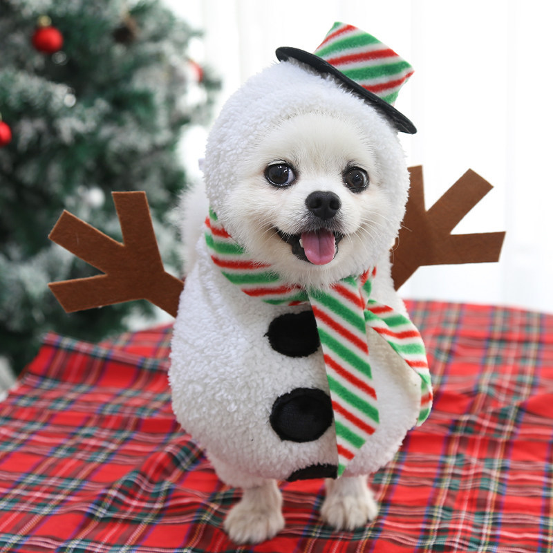 Pet Costume Outfit for Small Medium Dogs Cats Teddy Bichon Corgi Schnauzer Pomeranian — image 7