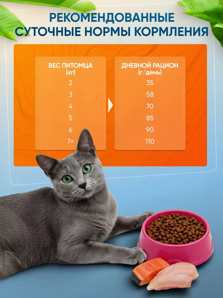 Dry Food Myfoodie, Holistic Grain Free for Adult Cats, Chicken Salmon, 1.5kg — image 5