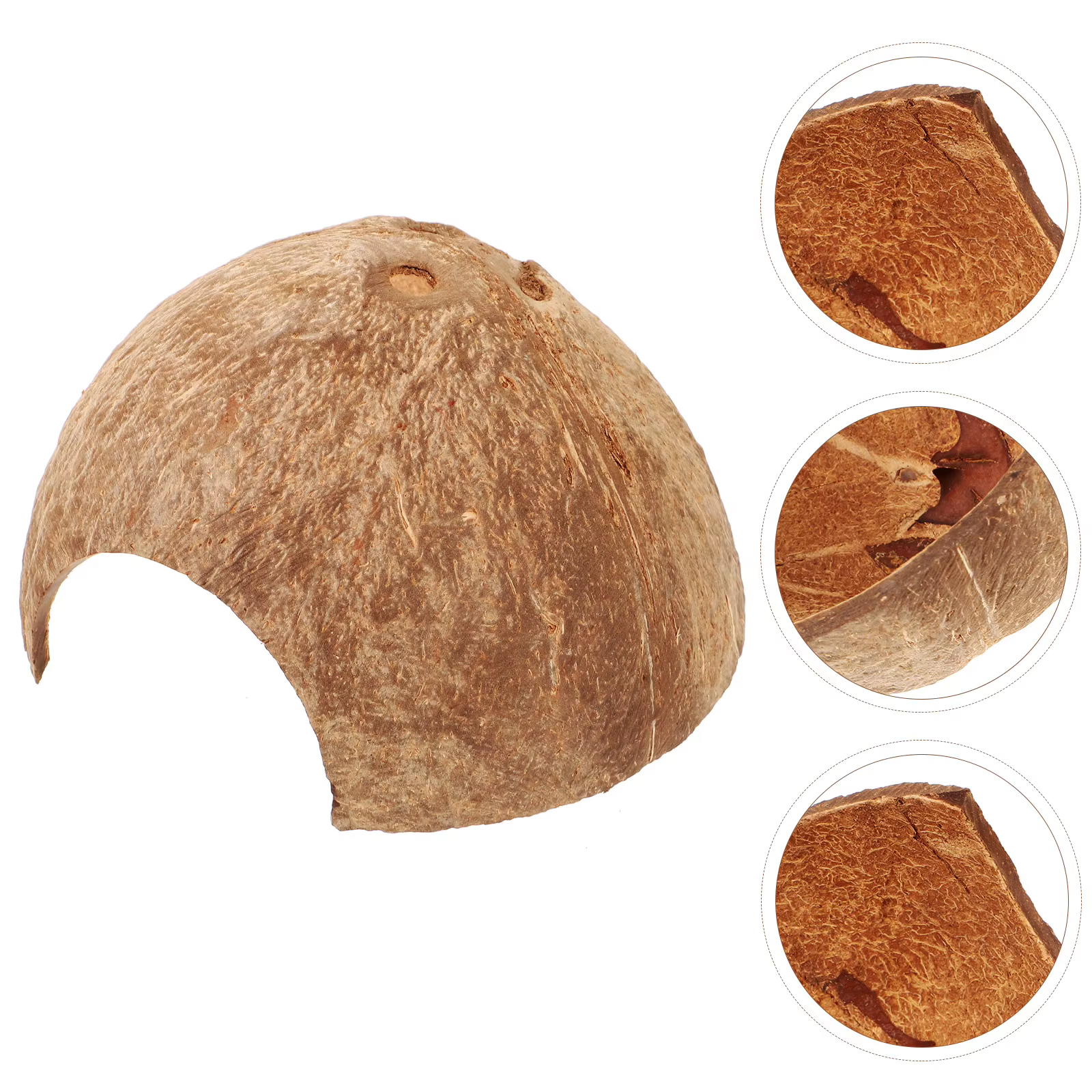 Coconut Shell Hideout For Reptiles Natural Pet Cave Shelter Habitat Decor Leopard Gecko Humid Hide Snake Tarantula Hermit Crab — imagen 4