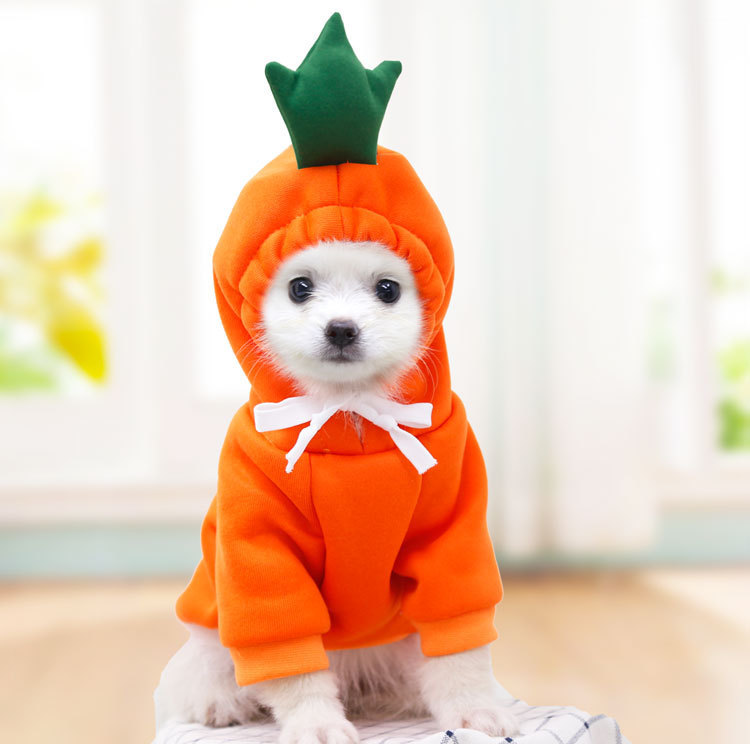 Cute Fruit Dog Clothes For Small Dogs Hoodies Winter Warm Fleece Pet Clothing Puppy Cat Costume Coat For French Chihuahua Outfit — image 9