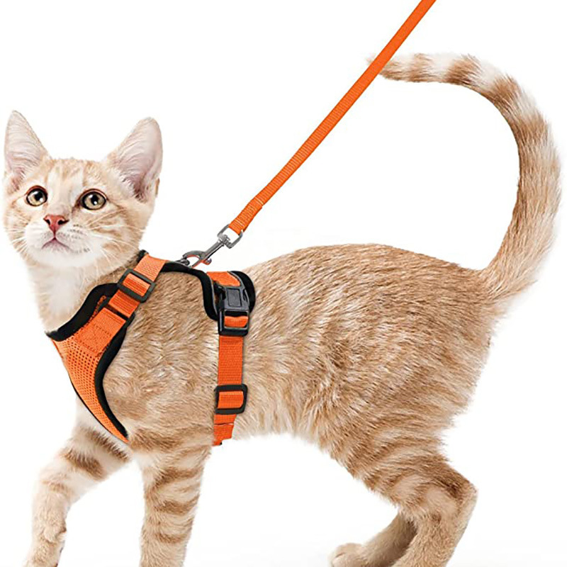 Arnes y Correa para Gatos con Control Fácil, Inescapable - Arnes de Vestido Suaves y Ajustables para Pasear a los Gatos — imagen 1