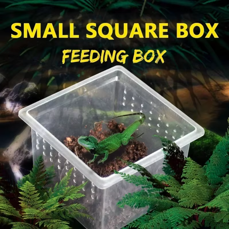 Transparent Portable Reptile Insect Breeding Box Small Pet Observation Container Spider Lizard Keeping Container — image 3
