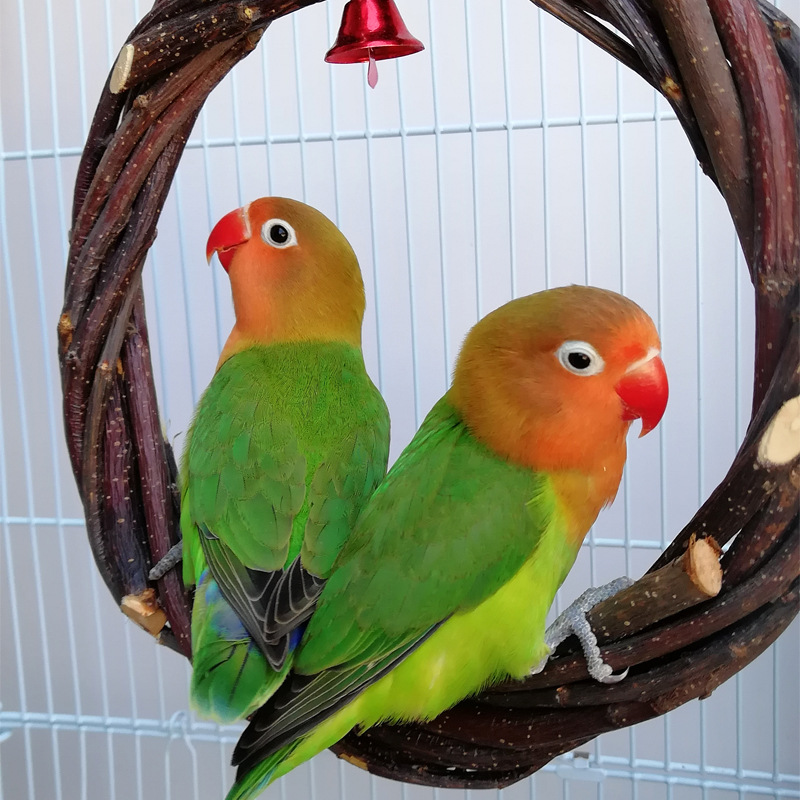 Marco de Pie para Aves - Jaulón de Corte con Rueda de Bambú — imagen 1