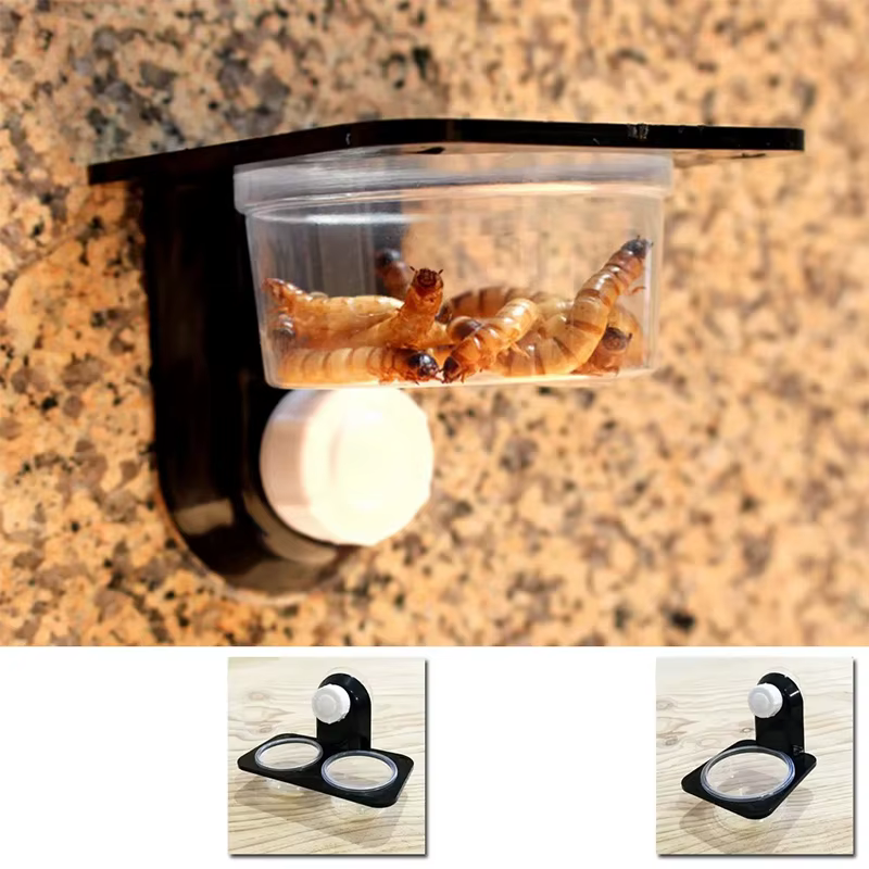 Accesorios para Tanques de Reptiles Comida y Agua para Arañas, Hormigas, Escarabajos, Lagartos, Iguanas, Gecko, Serpientes y Otros Animales — imagen 3