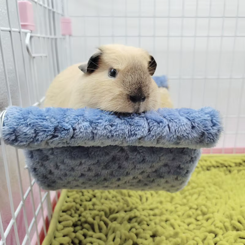 Cama Colgante para Pequeños Animales - Caja de Hamster con Lintéreo Caliente y Adecuado — imagen 6