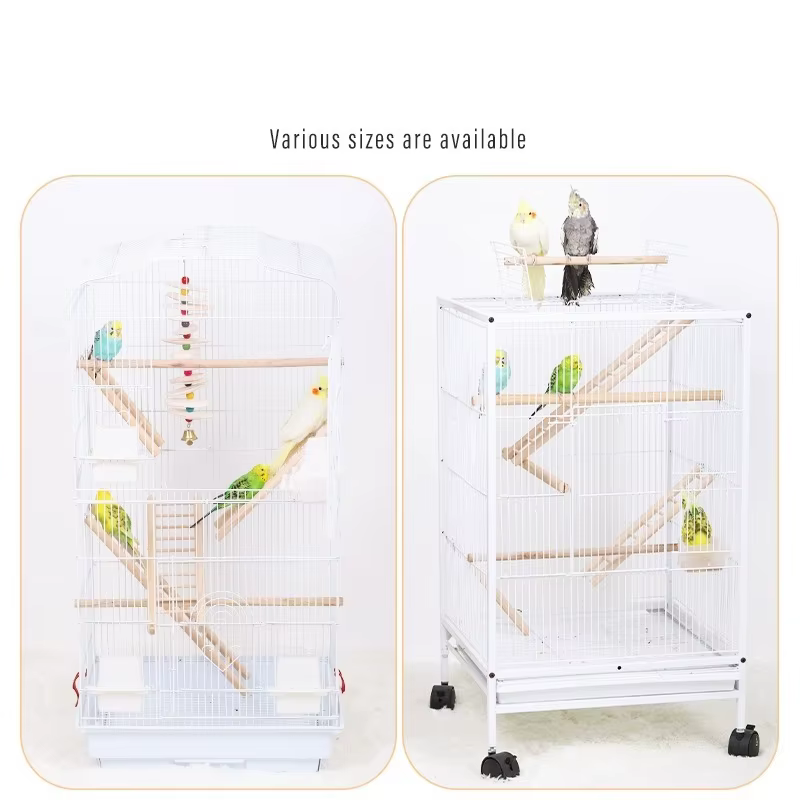 Juego de Escaleras para Loros Básico 13 Pasos - Juguetes para Aves con Lámpara de Madera — imagen 6