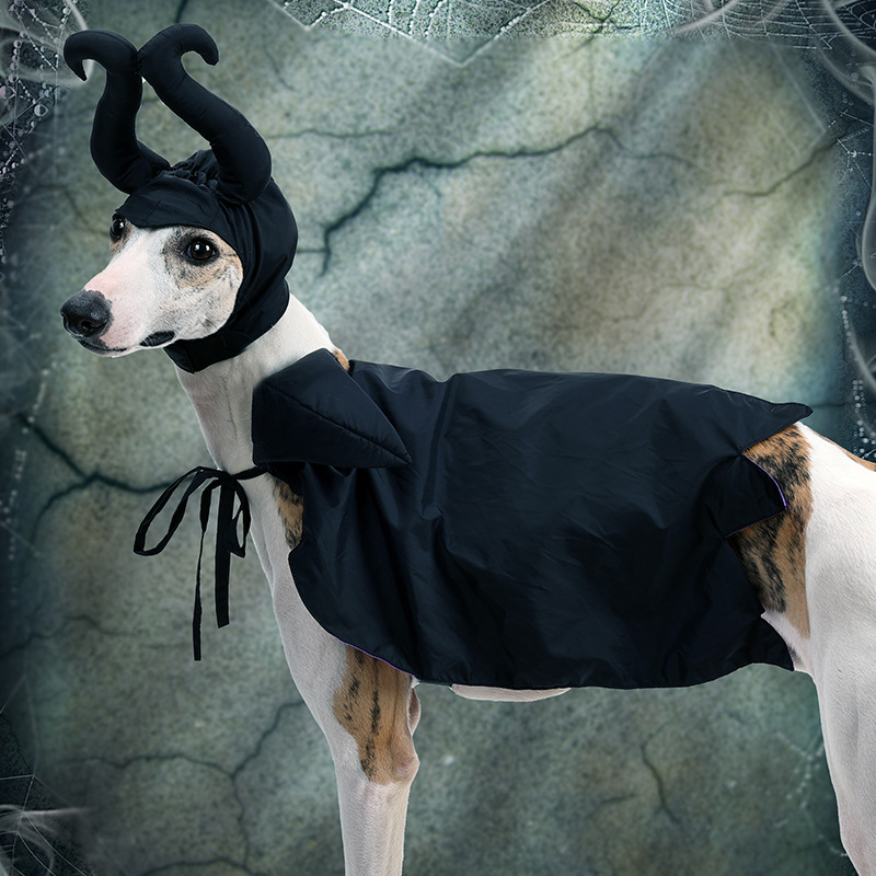 Halloween Dog Cloak with Hat Sleeping Curse Female Cloak Cat Hat Pet Clothing — image 4