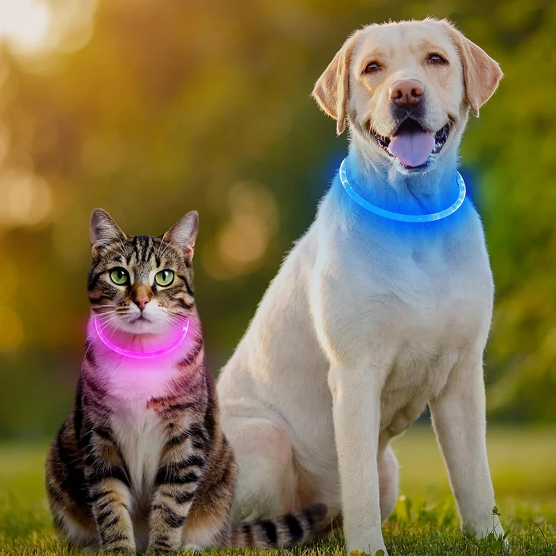 3-Mode LED Dog Collar - USB Rechargeable, Detachable & Glowing Pet Safety Necklace for Night — image 6