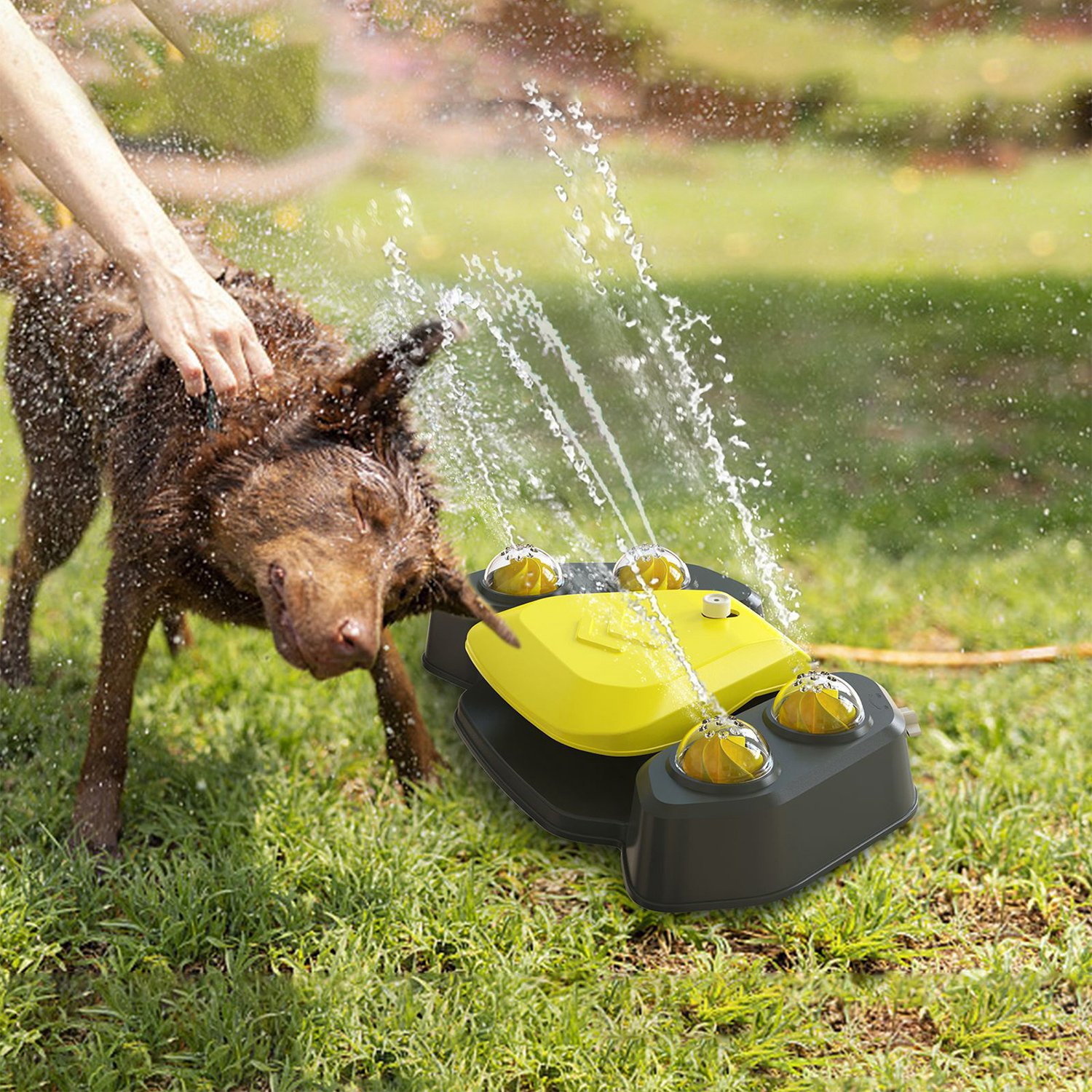 Blue-Yellow Color Options - 1Pc Dog Water Fountain Multifunctional Automatic Pet Water Dispenser Outdoor Step-on Activated Sprinkler For Drinking Shower Fun — image 12