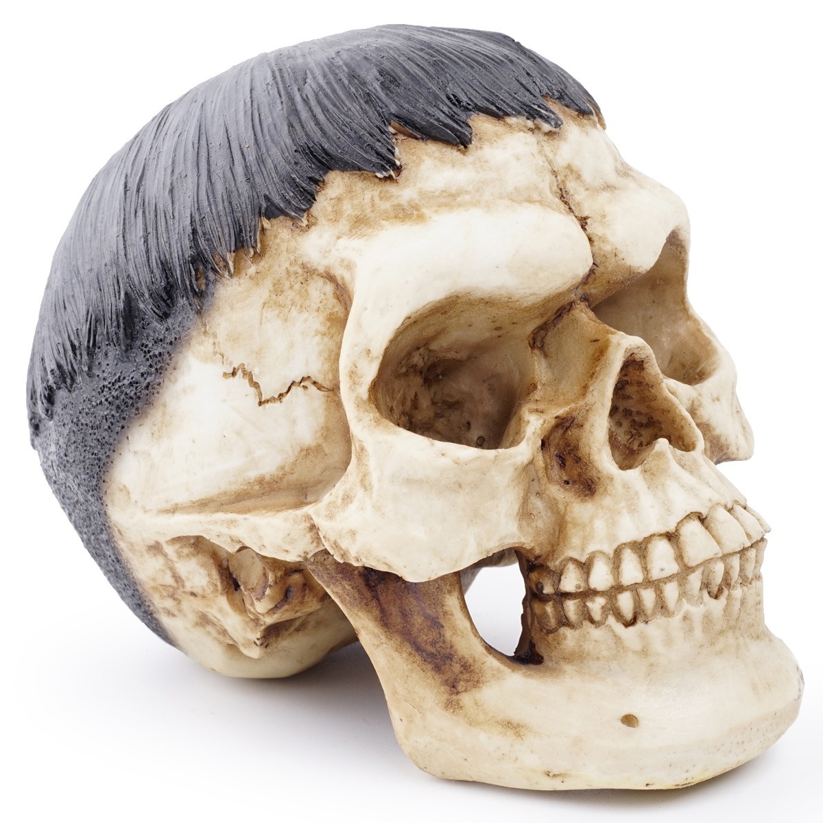 Resin skull animal skull ornament — imagen 6