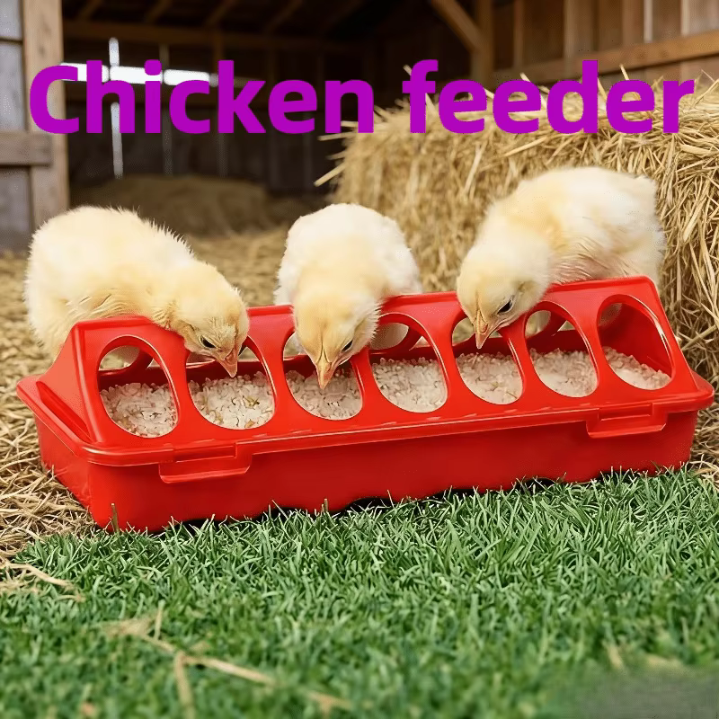 Chicken Feeder: Multi-Hole Tray, Anti-Theft, for Chicks, Quail & Wyandotte — image 2