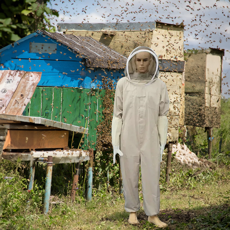 1 Set of Professional Ventilated Full - Body Beekeeping Suit with Gloves — image 5