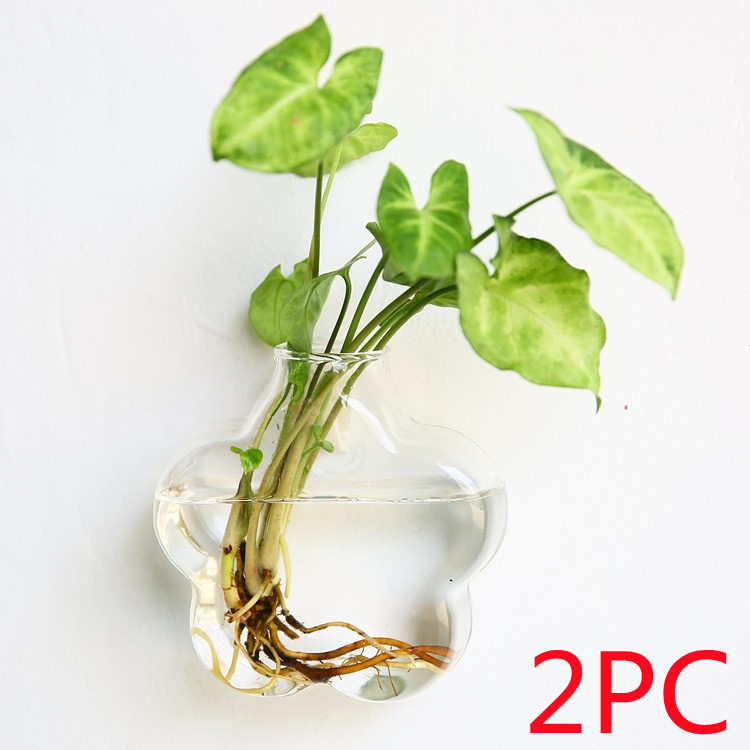 Vaso de Vidrio para Terrario Decorativo en Línea - Jardín Acuático para Hogar — imagen 5