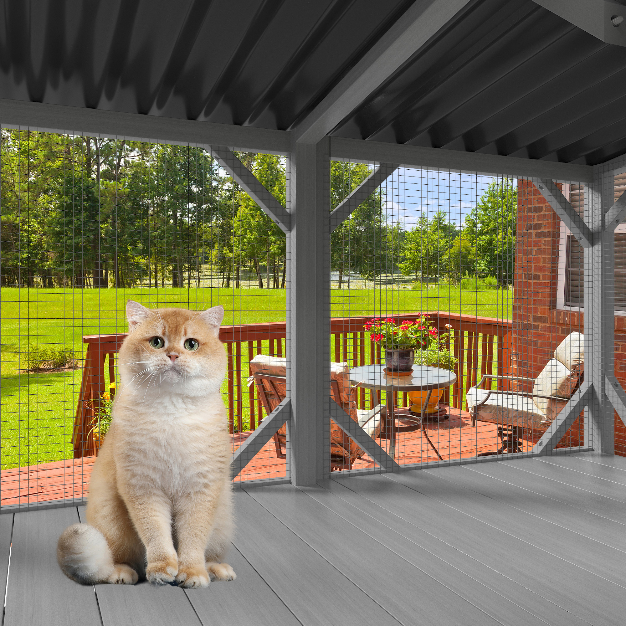 Catio para Gatos Grandes, Percha de Ventana en Madera para Gatos Indómitos - Para Tumbarte, Dormir y Disfrutar del Exterior desde la Seguridad de tu Hogar — imagen 3