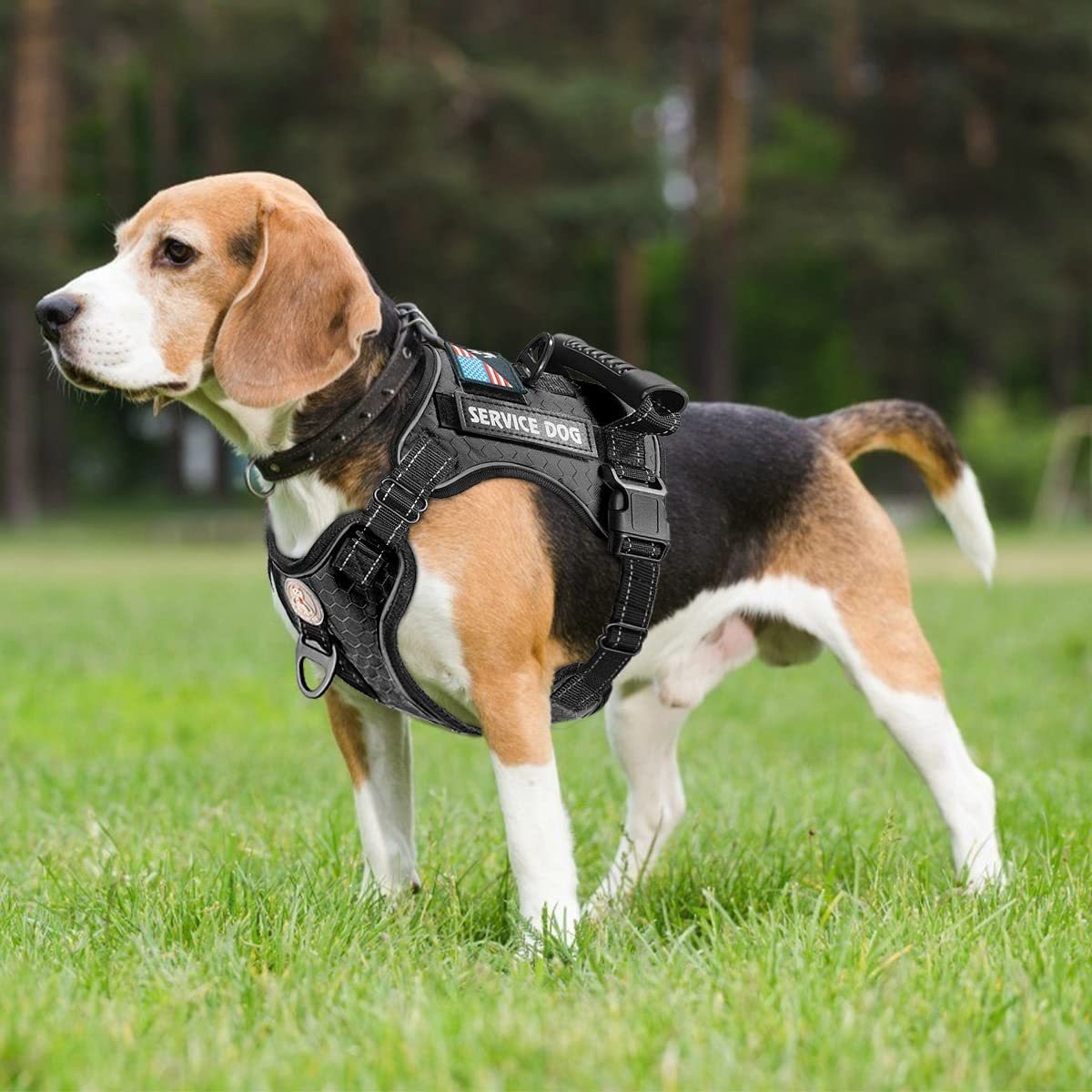 New Fashion Explosion-Proof Shock Absorption Comfortable Night Vision Reflective Pet Chest Strap Undershirt Traction Chest Strap Leash — image 4