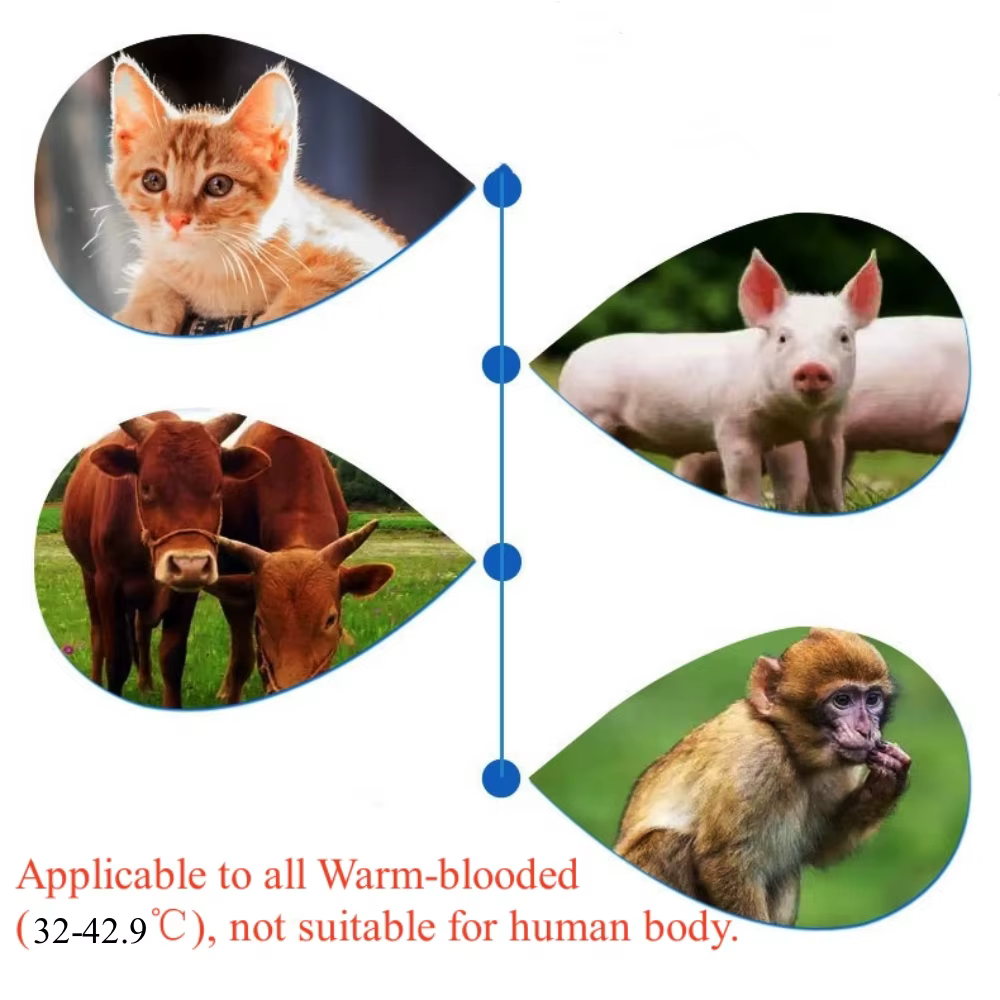 Termómetro Infrarrojo para Mascotas: Temperatura Animal Electrónico No Contacto Rápido y Preciso para Veterinaria Hogar — imagen 5