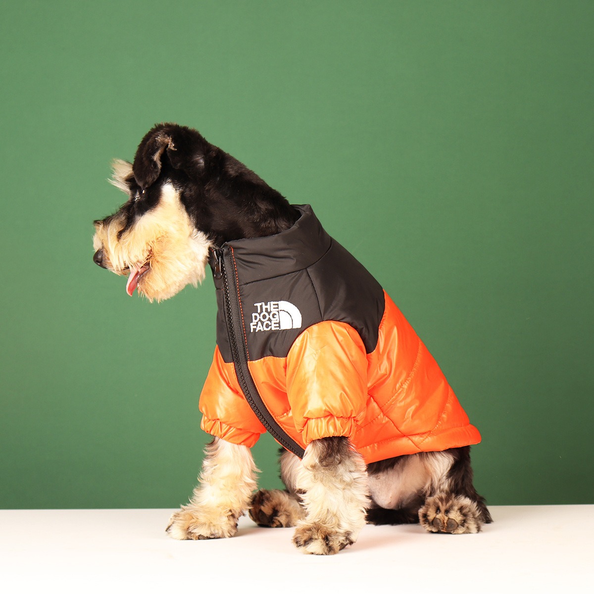 New Pet Warmth DOG FACE Cotton Shirt Small and Medium Dog Fashion Coat Embroidered Coat Dog Cat Clothes — image 3