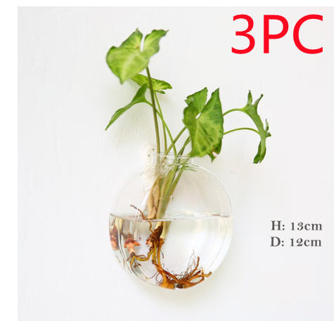 Vaso de Vidrio para Terrario Decorativo en Línea - Jardín Acuático para Hogar — imagen 42