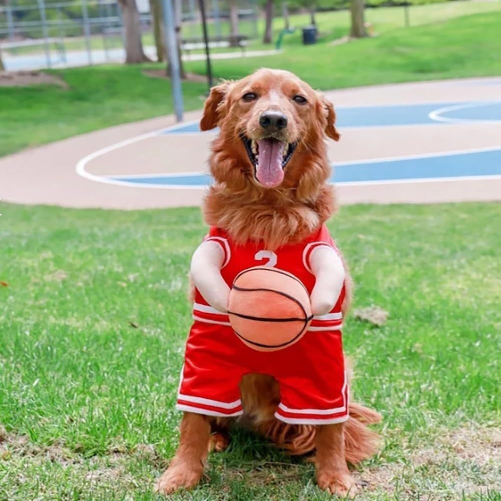 Camiseta de Baloncesto para Perros con Pelota y Ropa de Baloncesto — imagen 4