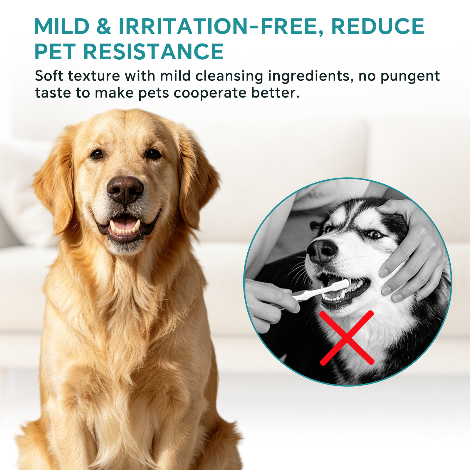 Solo Recogida en Tienda - Toallitas Húmedas para Cepillos de Dientes de Mascotas (50 Piezas) — imagen 6