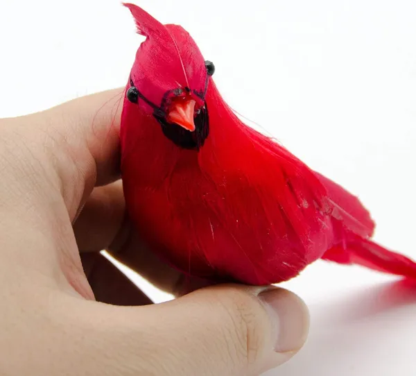 12 Pzas de Clips de Pájaros Cardenales Rojos Artificiales, Clips de Pájaros Cardenales Navideños, Pájaro Cardenal Rojo Falso para Decoración de Árbol de Navidad y Manualidades — imagen 4
