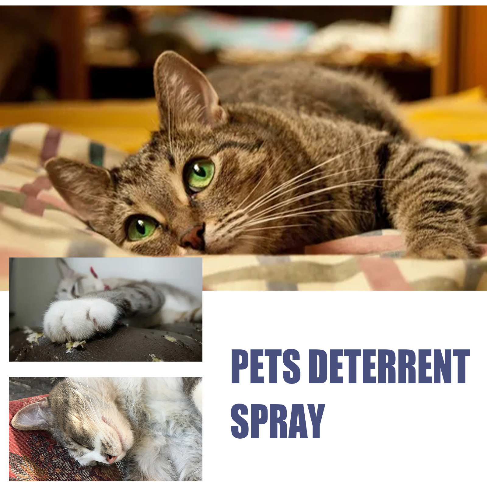 Pet Anti-Scratch Spray Exclusion Zone Set Up Spray Cat And Dog Scratching Door Sofa Anti-Scratch Solution — image 6