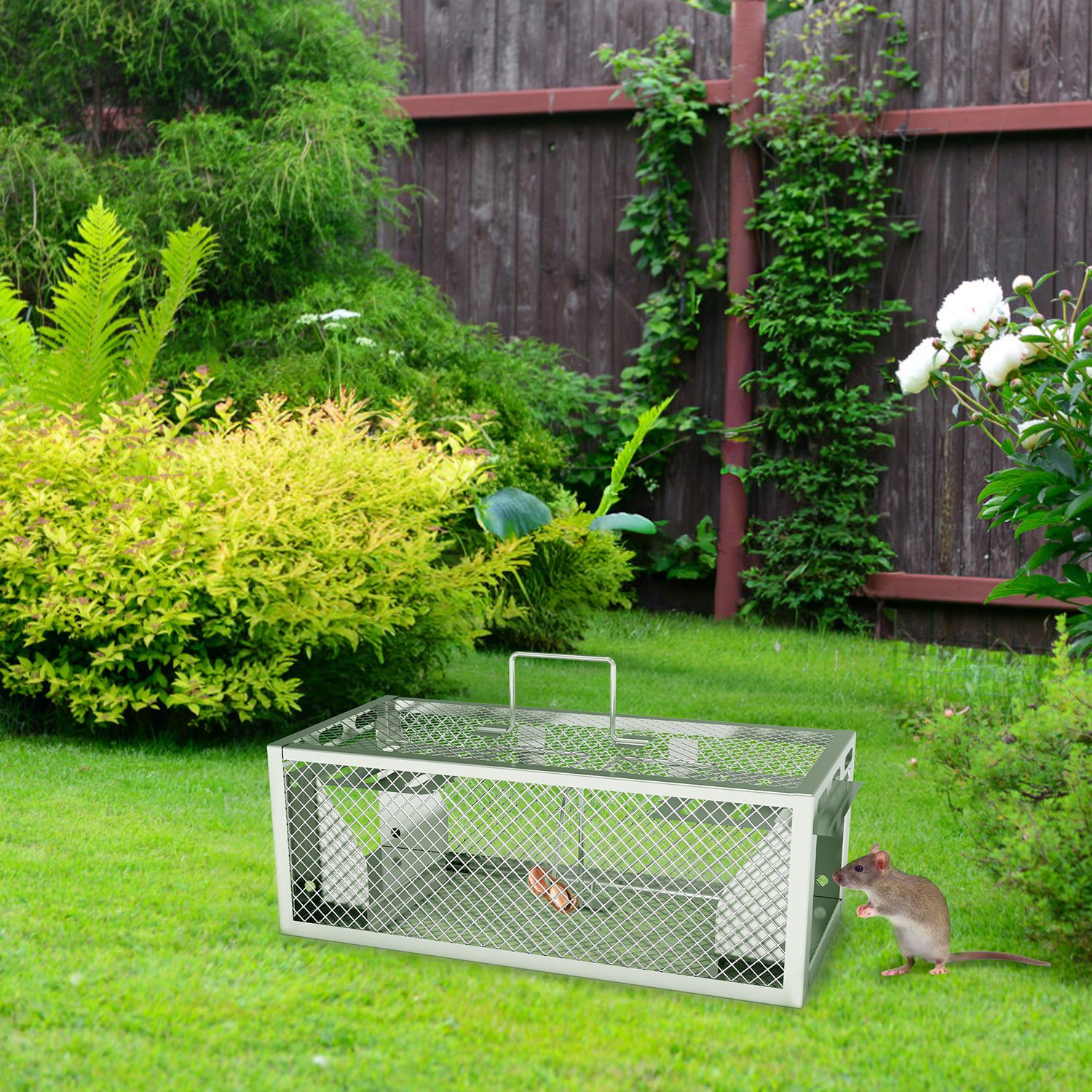 Paquete de 2 Trampas para Ratas Humanitarias de 2 Puertas 11.81x5.63x4.45In, Trampa para Ratones Automática y Continua, Reutilizable, de Hierro Galvanizado, Jaula para Animales Vivos — imagen 9