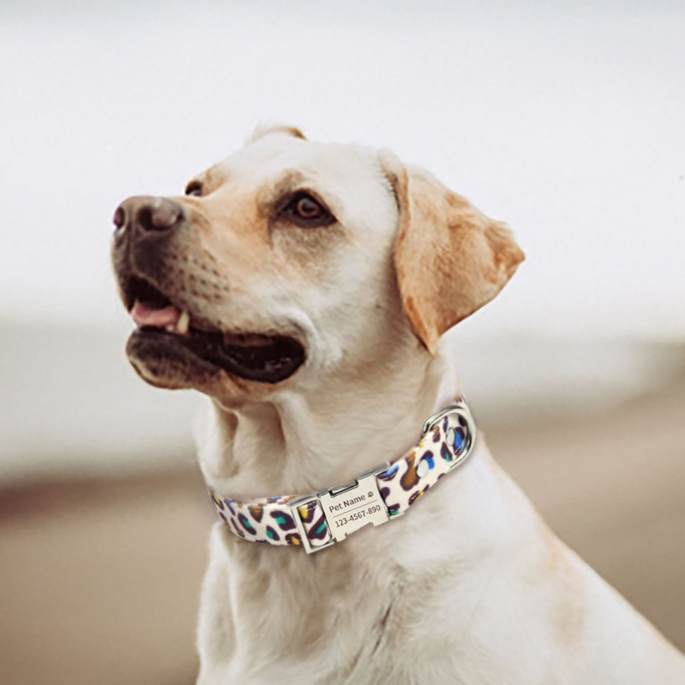 Collar de Leopardo para Perros - Cinturón de Trazo con Broche Metálico Personalizable — imagen 6