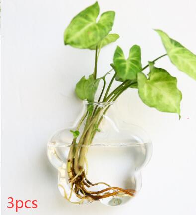 Vaso de Vidrio para Terrario Decorativo en Línea - Jardín Acuático para Hogar — imagen 19