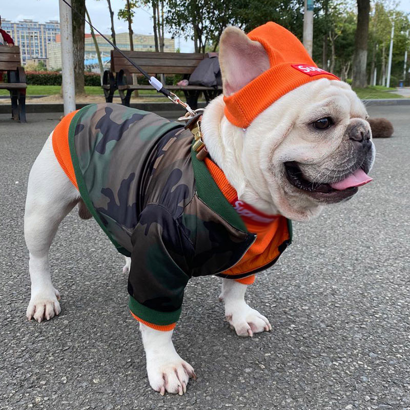 Pet Clothing Trendy Brand Street Dog Clothes Fighting Teddy Schnauzer Bottom Coat Hat Set — image 3