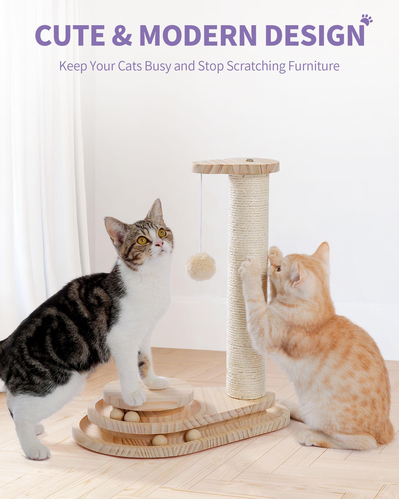 Indoor Cat Soft Scratching Board And Interactive Ball Track Toy Cat Rest And Grooming Supplies — image 3