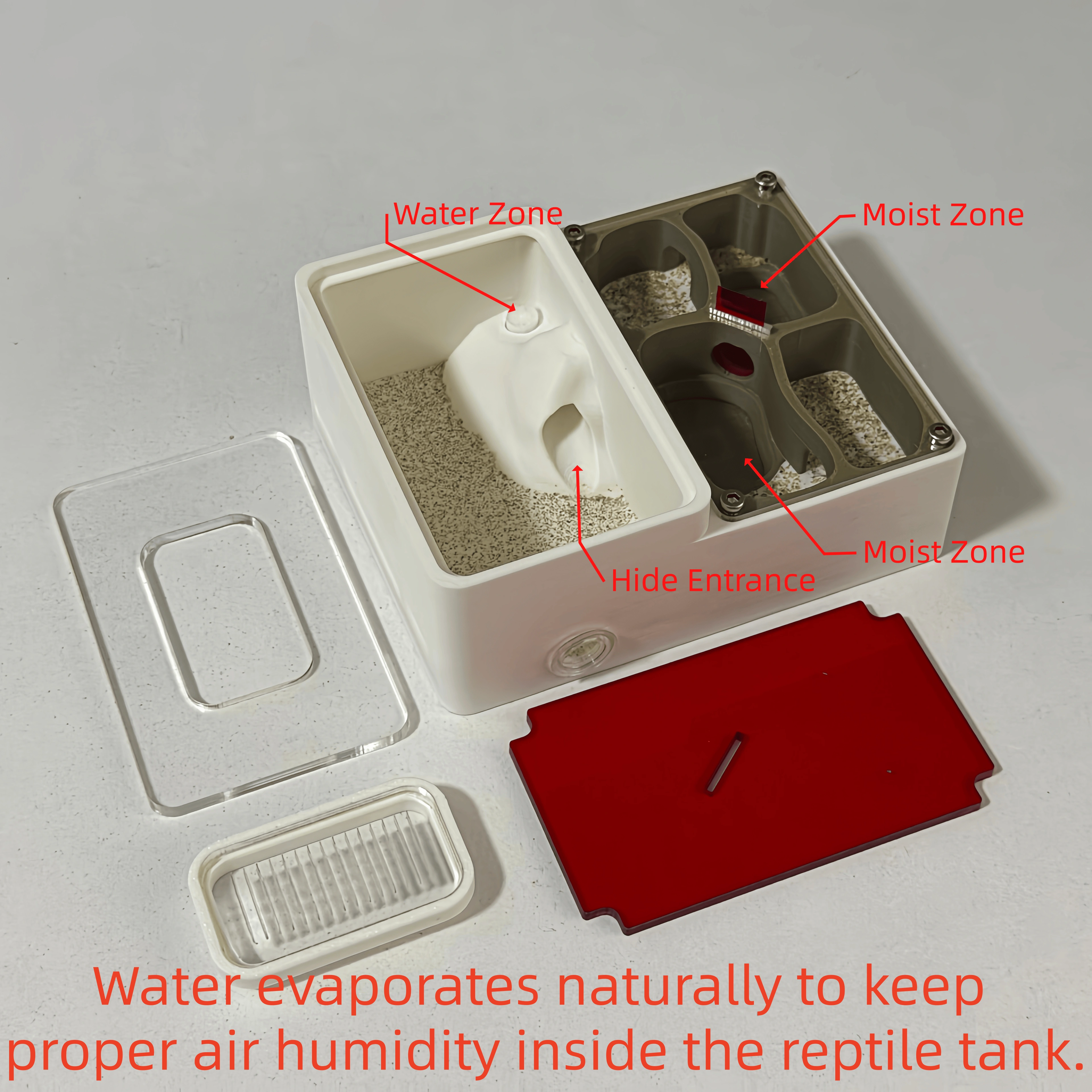 Nido de Hormiga 3D Impreso con PLA para Reproducción de Reina y Criaderos Ecológicos de Insectos — imagen 2