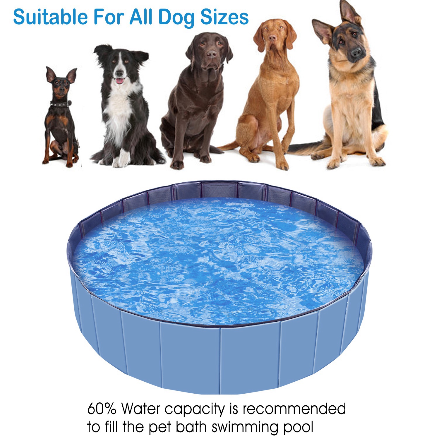 Piscina de Natación Portátil para Mascotas 160x160x30cm - 63.0x63.0x11.8 pulgadas — imagen 8