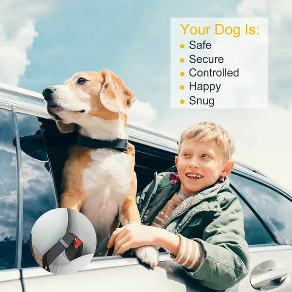 2Pcs Pet Dog Seat Belt Leash Adjustable Pet Dog Cat Safety Leads Harness — image 5