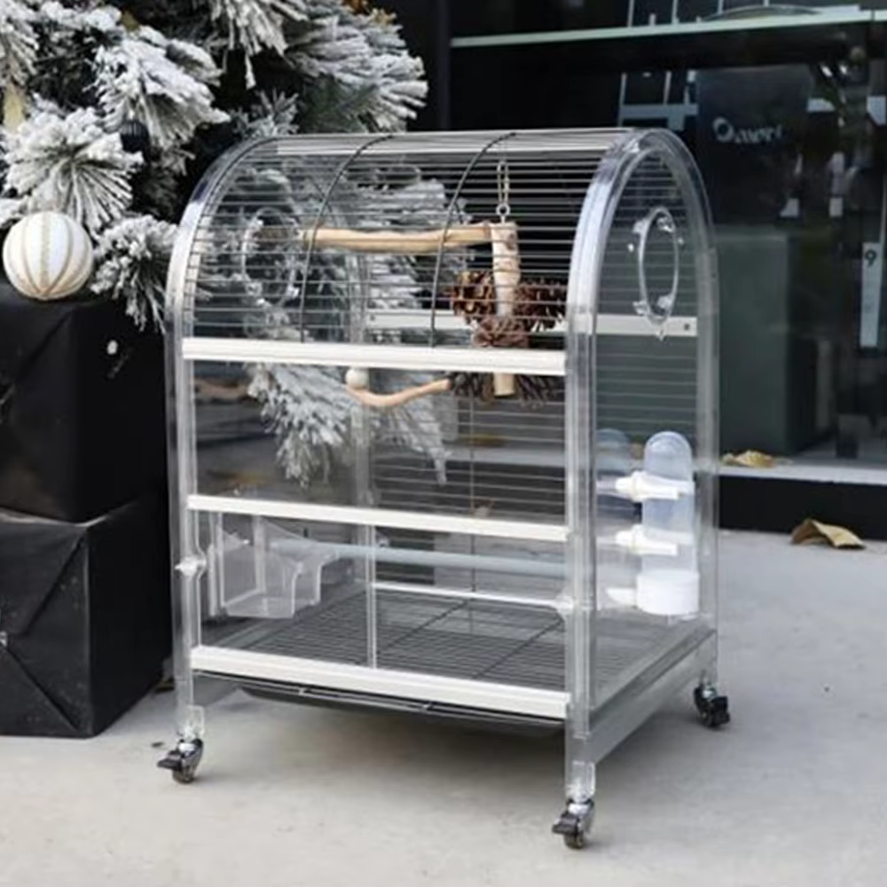 Jaulas para Aves Cámaras para Loros Reproducción de Aves — imagen 5