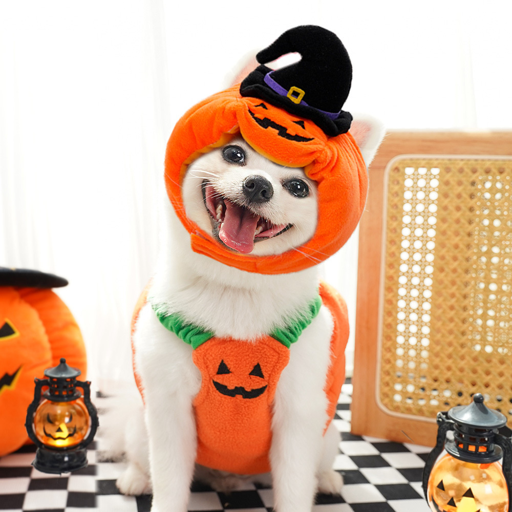 Funny Halloween Christmas Cat Pet Costume for Dogs, Two-Legged Style Poodle Disguise Outfit — image 5