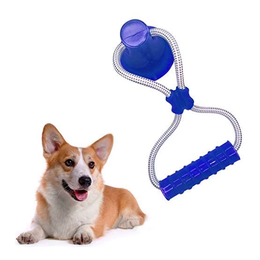 Pet Molar Toy Self-playing Rubber Ball Toy With Suction Cup Dog Interactive Molar Chew Toy Teeth Cleaning Tool — image 1