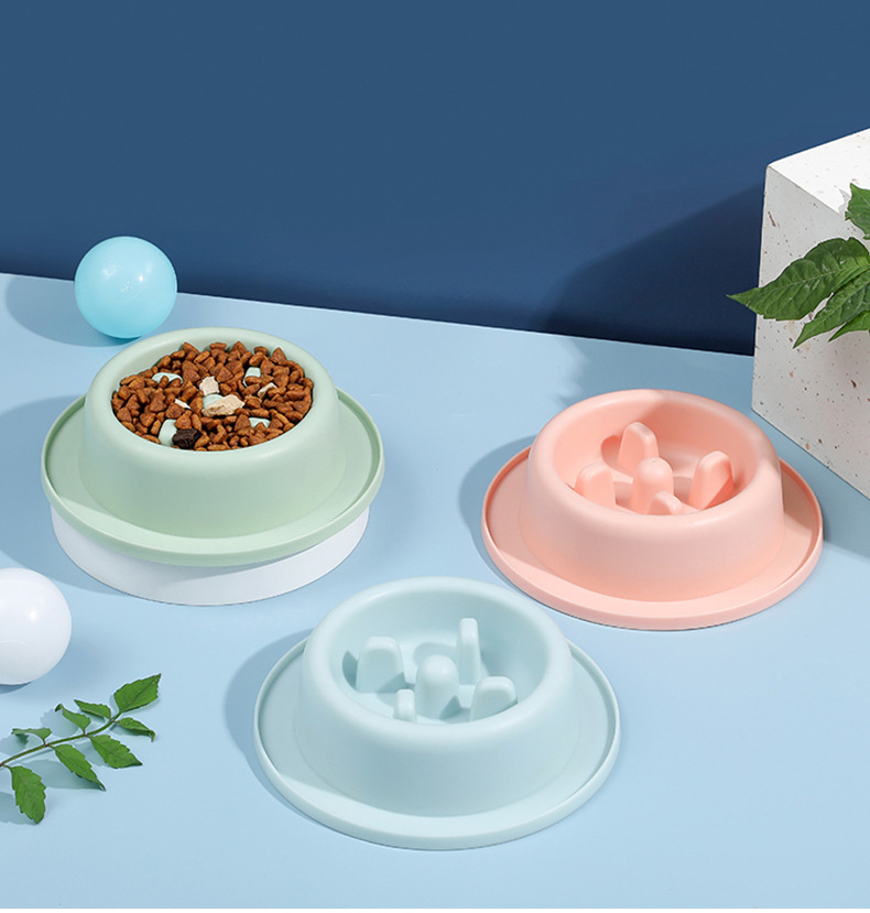 Cat and Dog Shared Pet Slow Food Slow Food Bowl — image 1