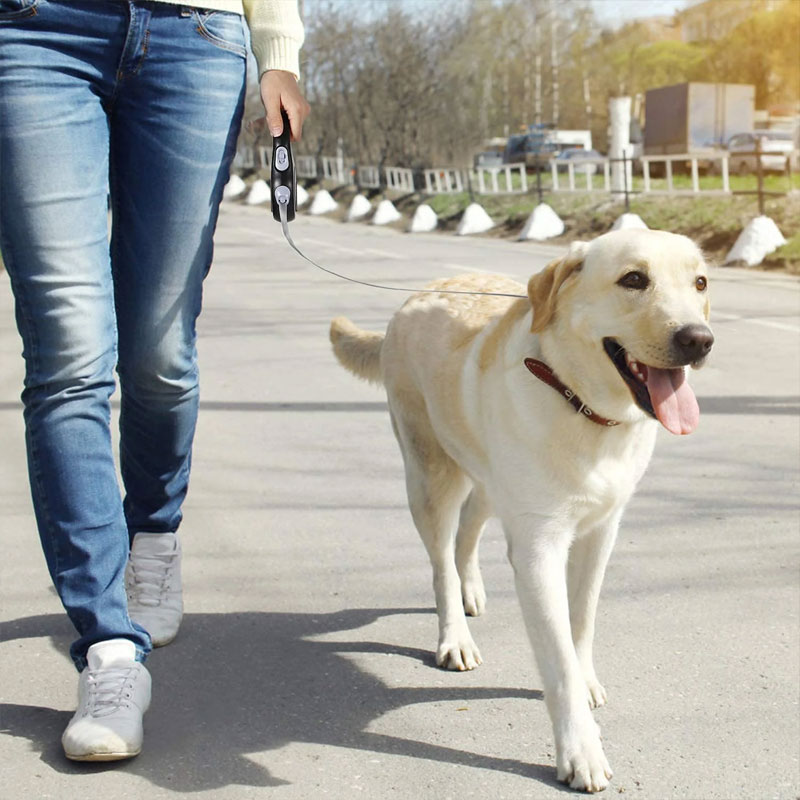 Retractable Dog Leash (5m/8m, 50kg capacity) – Adjustable, durable, for small/big dogs (walking, hiking) — image 10