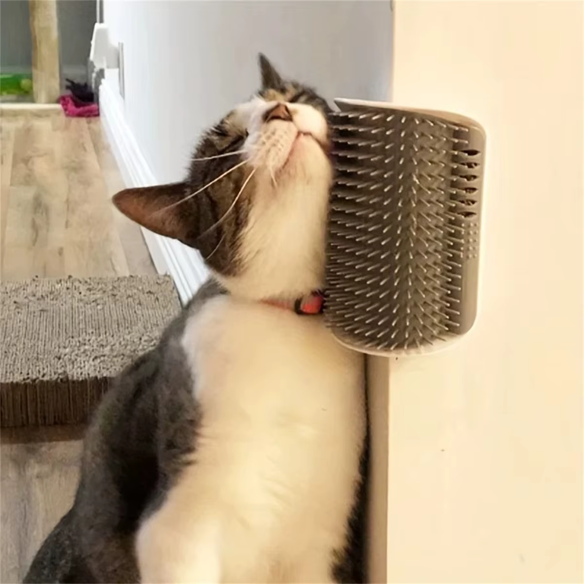 Cat Scratcher Massager for Cats Scratching Pets Brush for Short Long Fur Cats Softer Kitten Care Massage Toy Pet Products — image 4
