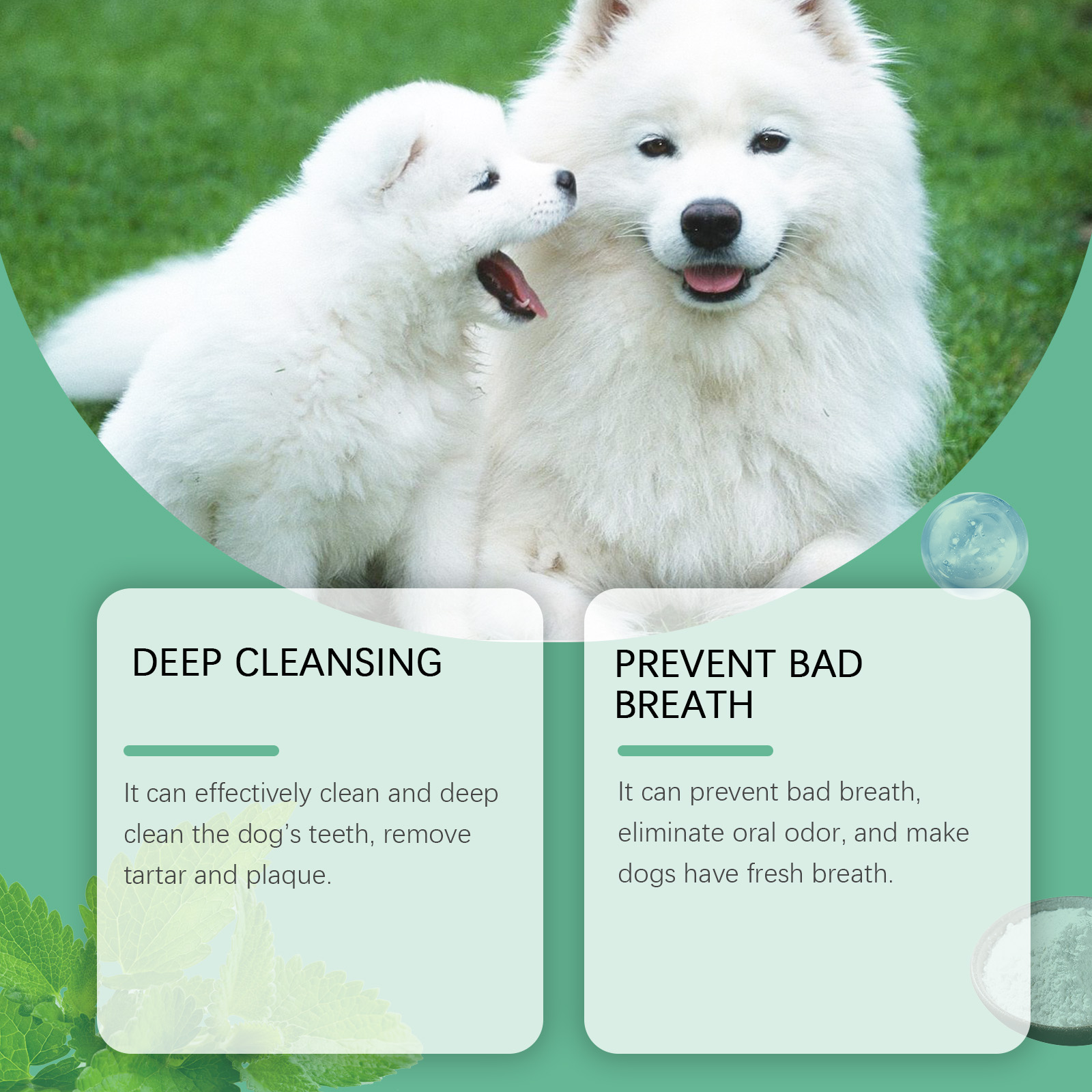 Yegbong Tooth Cleaning Powder For Dogs, A Gentle Formula To Freshen Breath And Protect Pet Oral Health Cleaning Powder — image 4