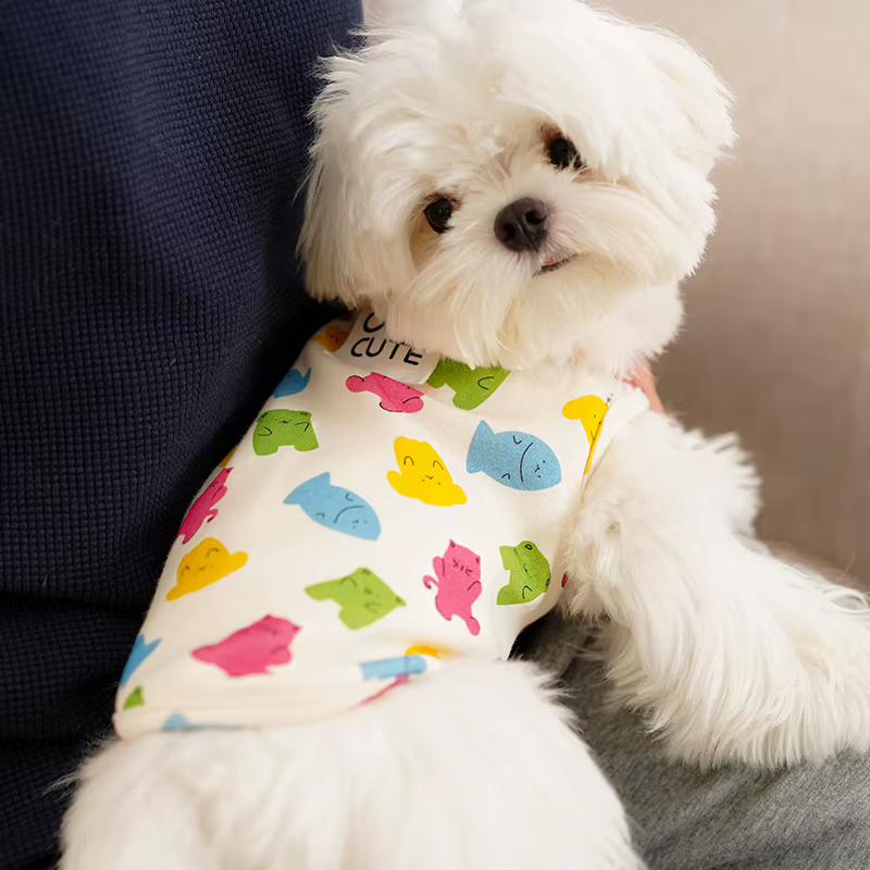 Ropa y accesorios para gatitos: prendas de enfriamiento, chaquetas y chalecos de suéter para perros — imagen 6