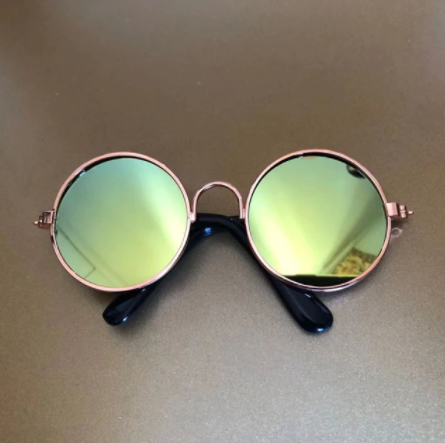 Gafas de Sol para Mascotas de Gato — imagen 5