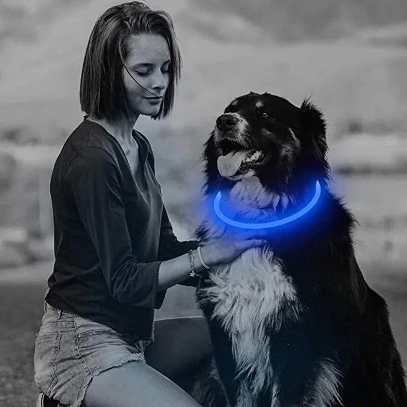 3-Mode LED Dog Collar - USB Rechargeable, Detachable & Glowing Pet Safety Necklace for Night — image 8