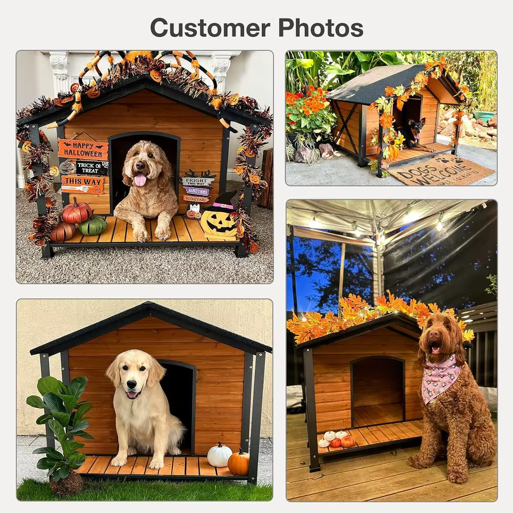 Large Weatherproof Outdoor Dog House - Durable Iron Frame for Indoor and Outdoor Use — image 6