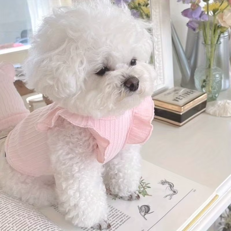 Chaleco Adorable para Perro con Nudo de Lazo, Verano, Transpirable, 2 Piernas, Ropa para Mascotas, Ropa de Osito de Peluche, Camiseta de Pecho Ligera, Ropa para Cachorros — imagen 3