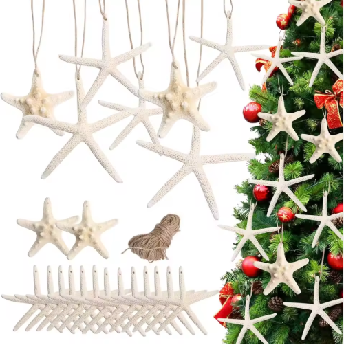 15 piezas de árboles navideños colgantes de estrellas de mar de 2.3-4.3 pulgadas decoraciones con conchas para manualidades — imagen 1