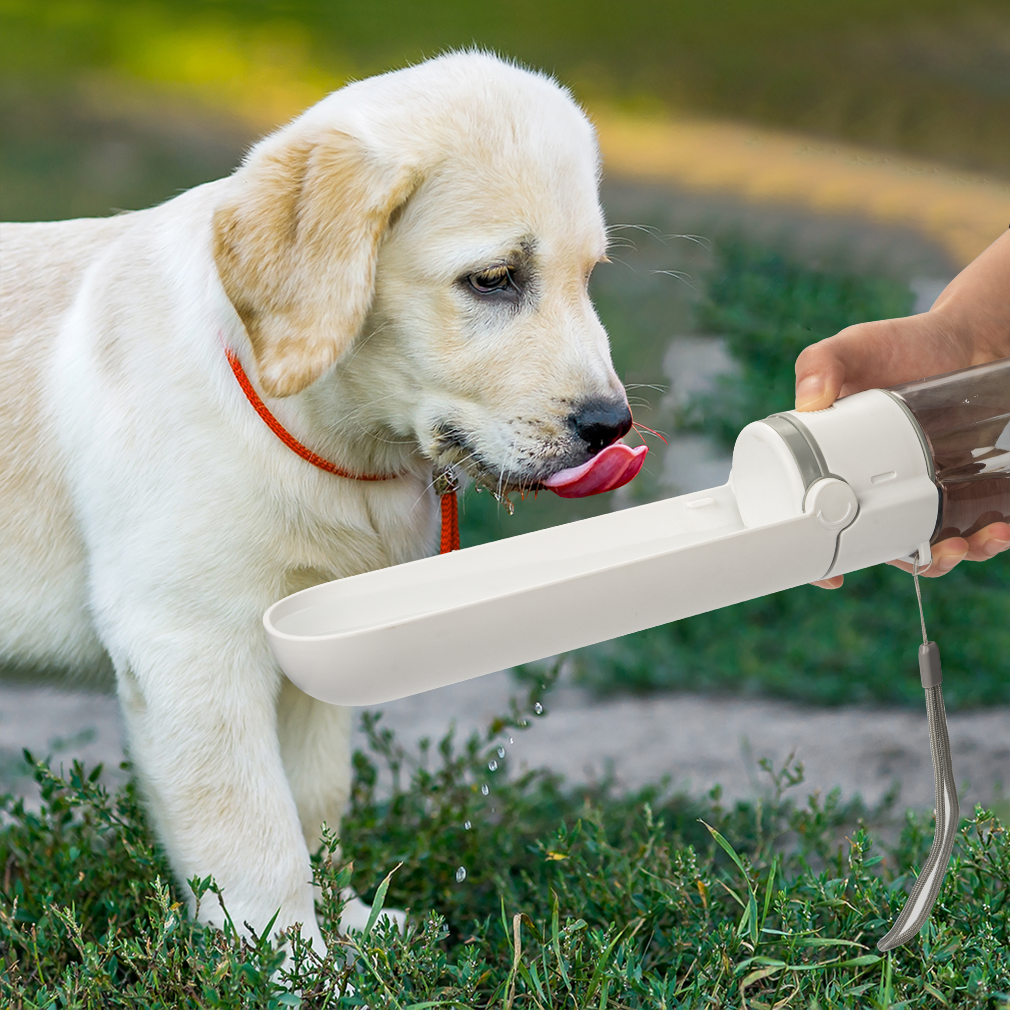 Clamshell Pet Water Cup Pet Water Cup Dog Water Dispenser Go Out Drinking Water Bottle Pet Accompanying Cup — image 3