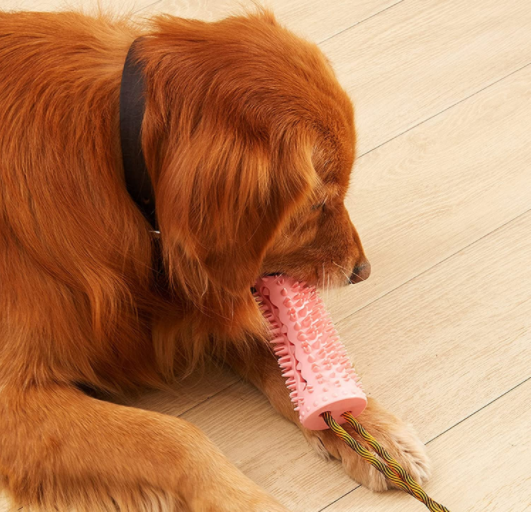 Pet Dog Toy Ball Sucker Leakage Snack Ball Bite-Resistant Teeth Training — image 2
