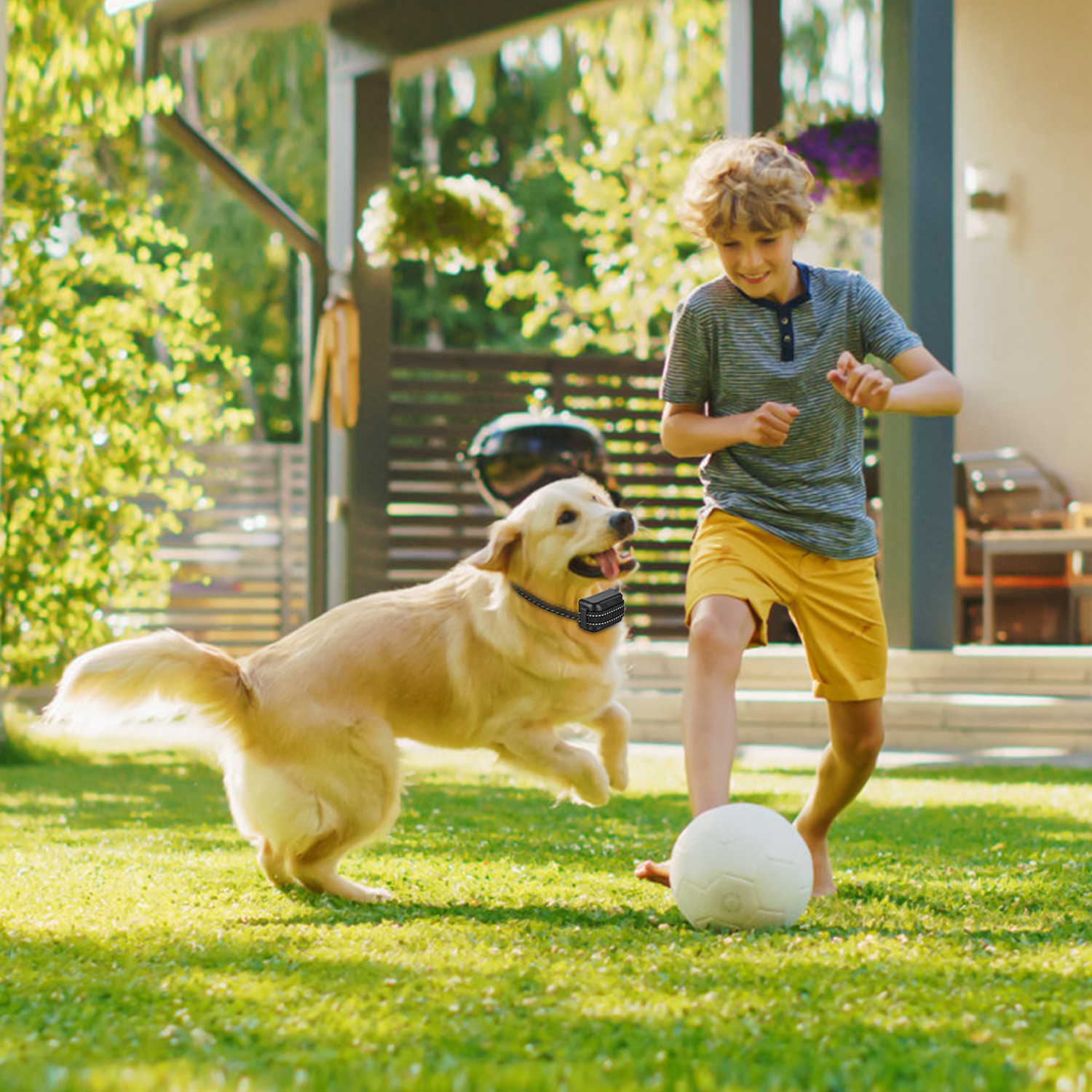 Sistema de Cerca Inalámbrica para Perros 2 en 1 con Collar de Entrenamiento, Cerca Invisible para Perros IP68 a Prueba de Agua con Alcance Ajustable de 722 Pies, Pitido, Vibración y Descarga Estática — imagen 17